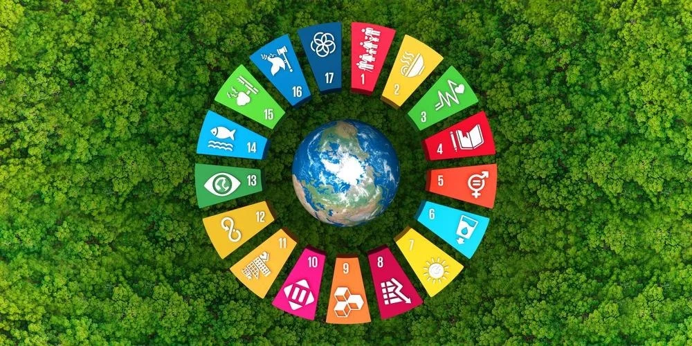 Biodiversity Assessment
